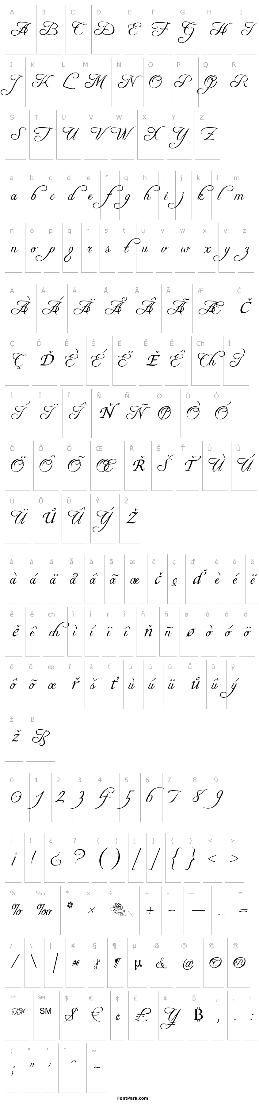 Přehled Freebooter Script