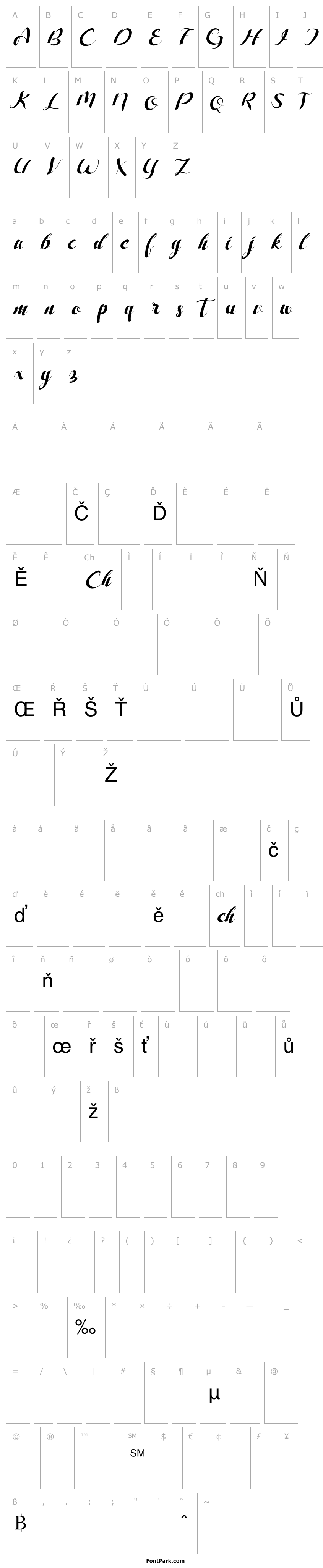 Overview Freesia Flower