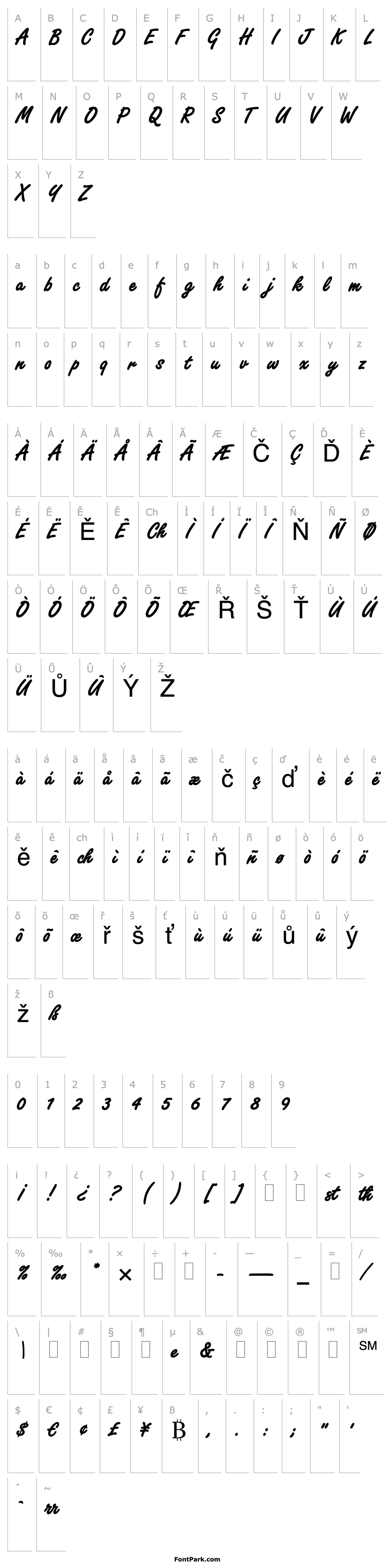 Přehled Freestyle Script Bold Plain