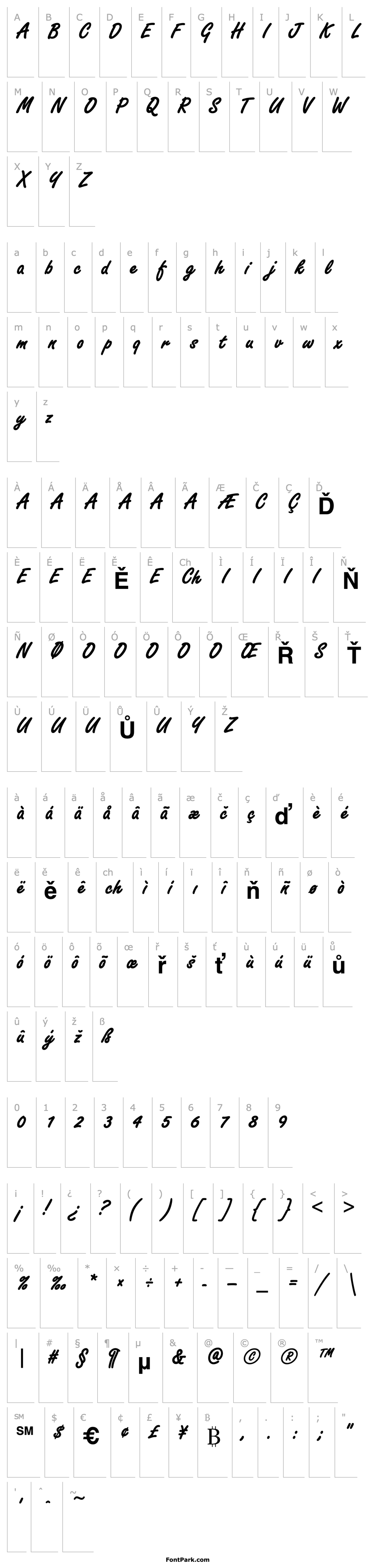 Přehled Freestyle Script D Bold