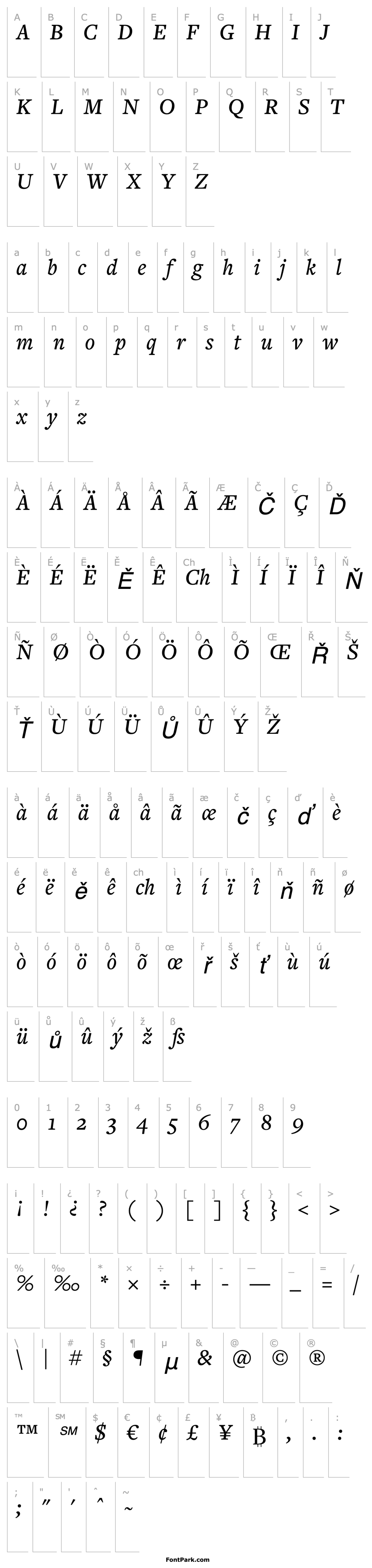 Overview FreightText MediumItalic