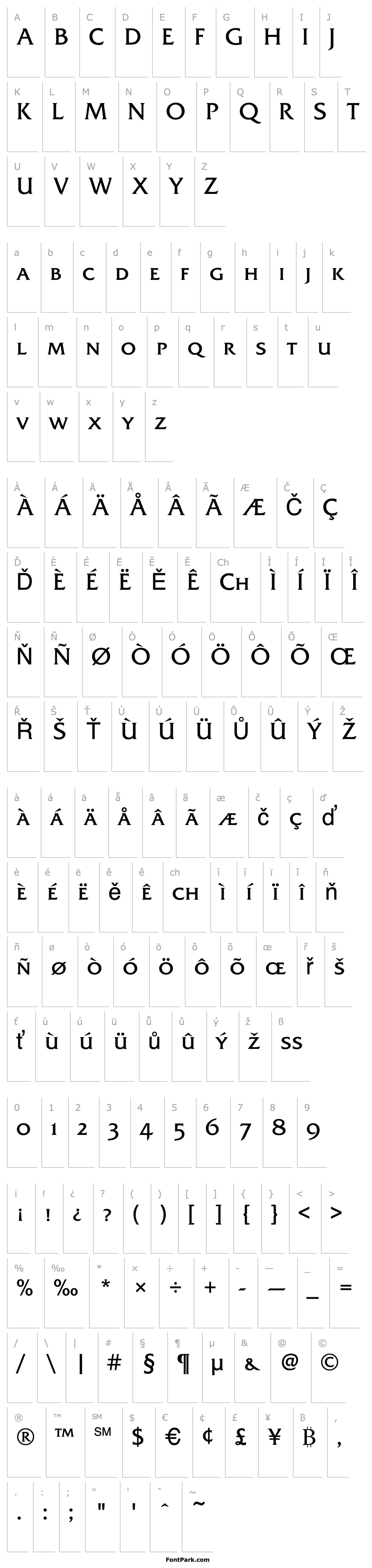 Overview Friz Quadrata SC TT