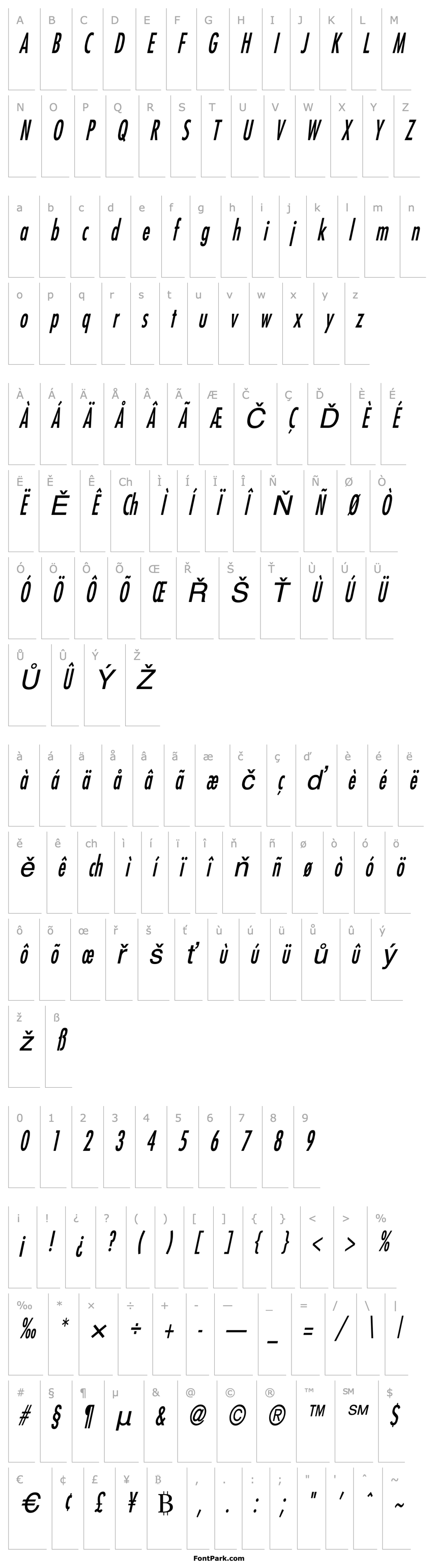 Přehled Fuji Thin Italic