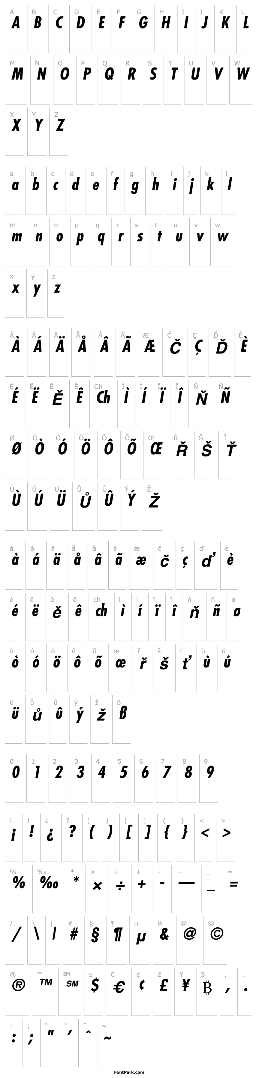 Overview Fujiyama Bold Italic