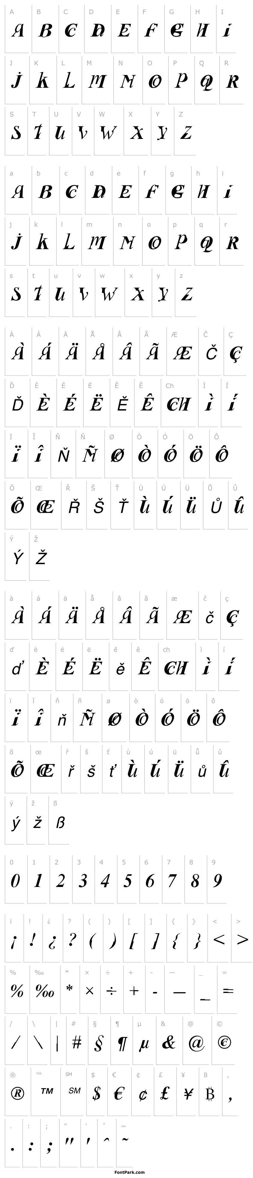 Overview Fusion Italic