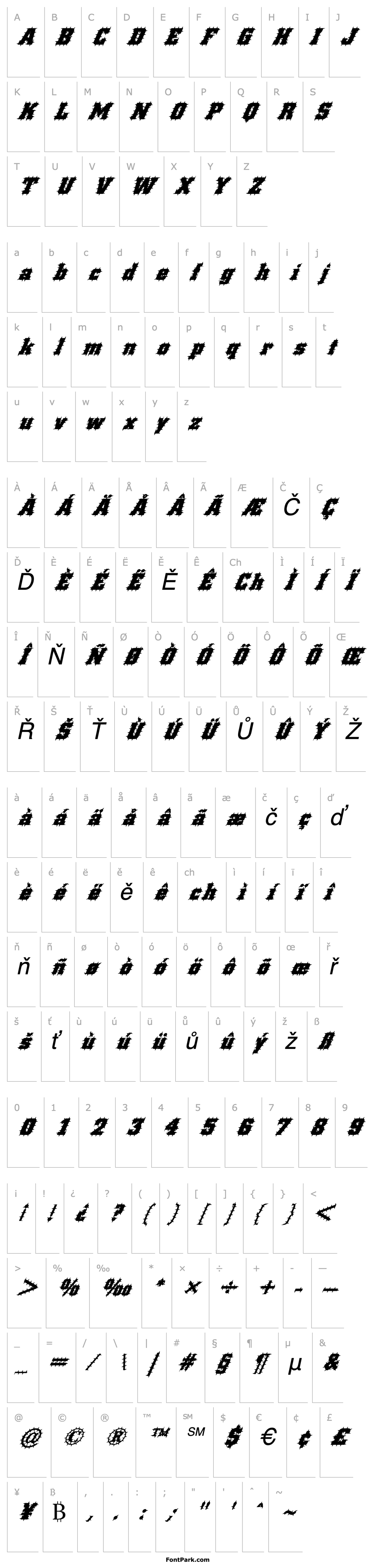 Overview FZ BASIC 53 SPIKED ITALIC