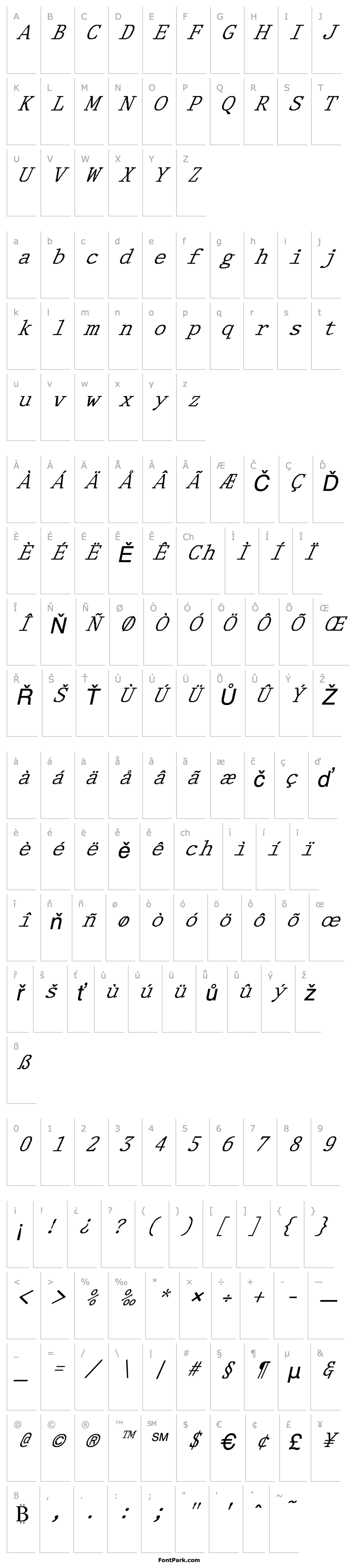 Overview FZ DIGITAL 1 ITALIC