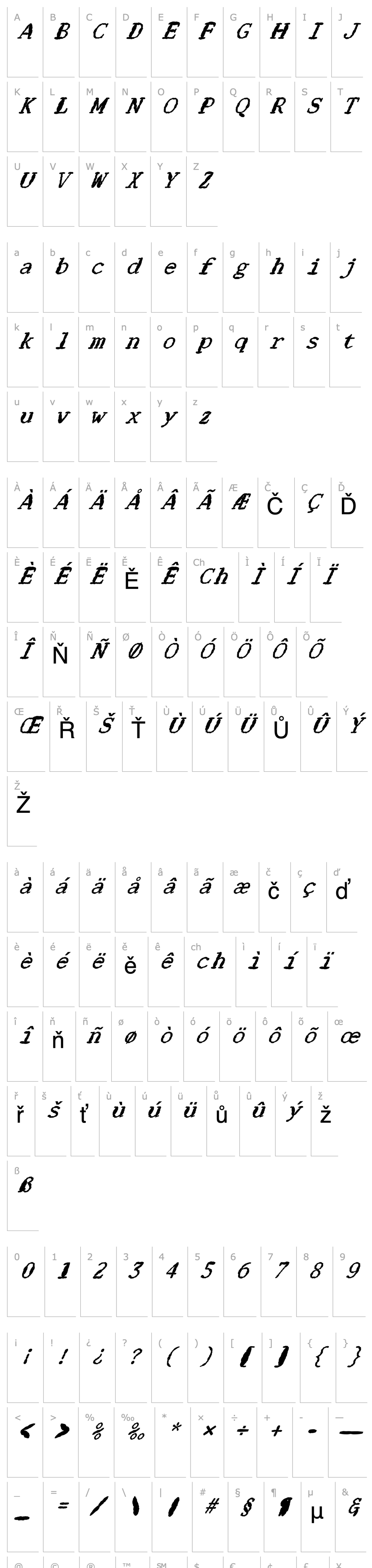 Overview FZ DIGITAL 1 MANGLED ITALIC