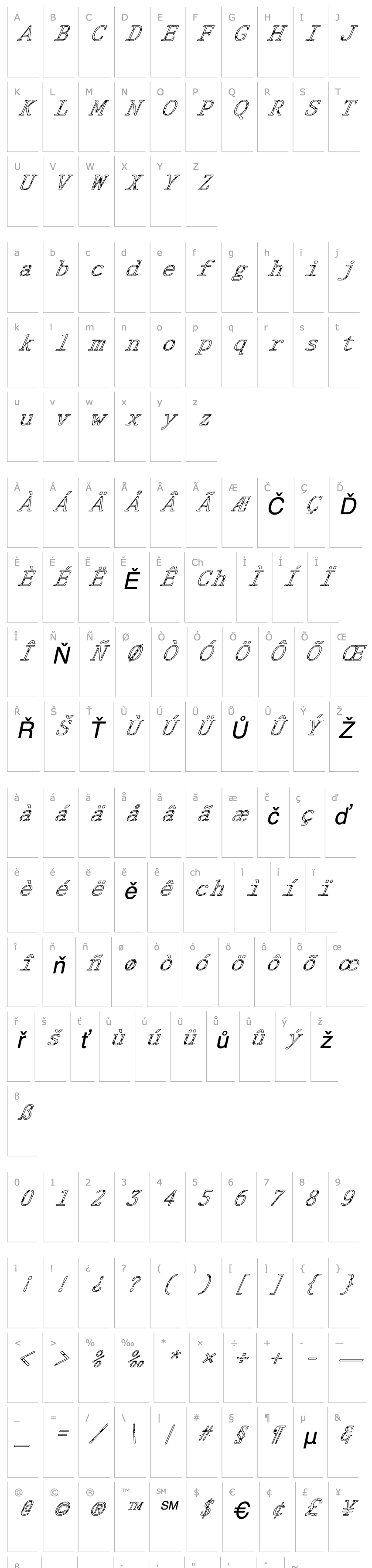 Overview FZ DIGITAL 1 SPOTTED ITALIC