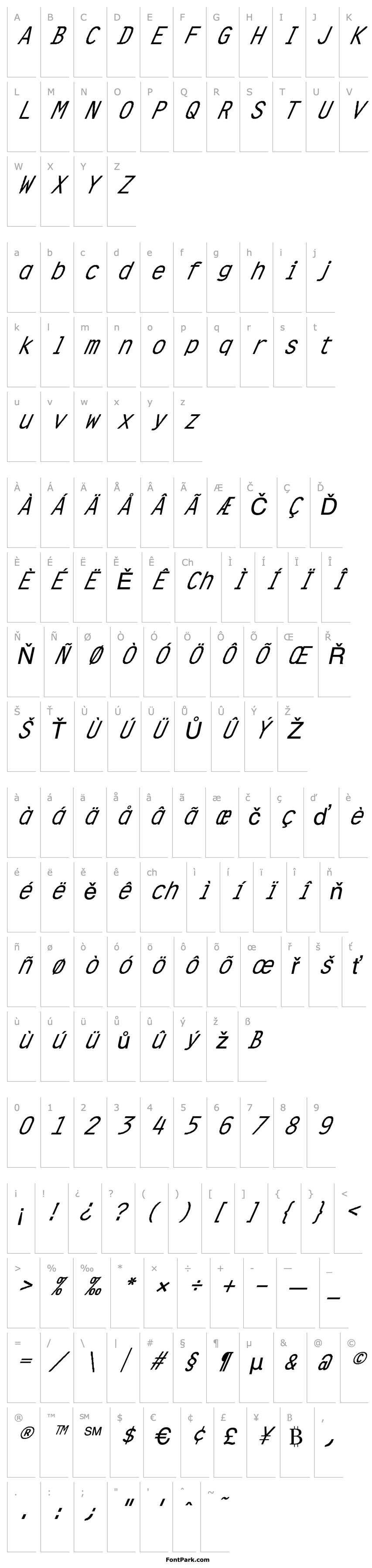 Overview FZ DIGITAL 4 ITALIC