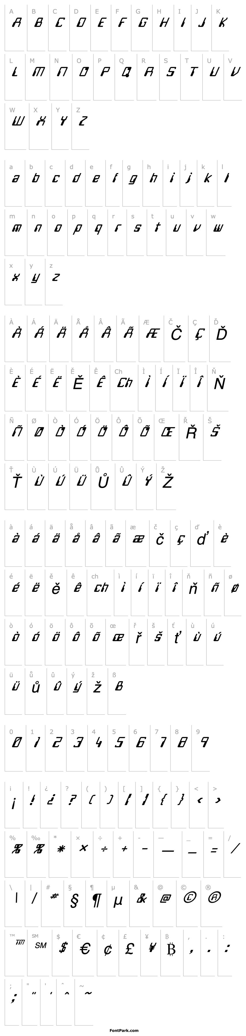 Overview FZ DIGITAL 5 ITALIC