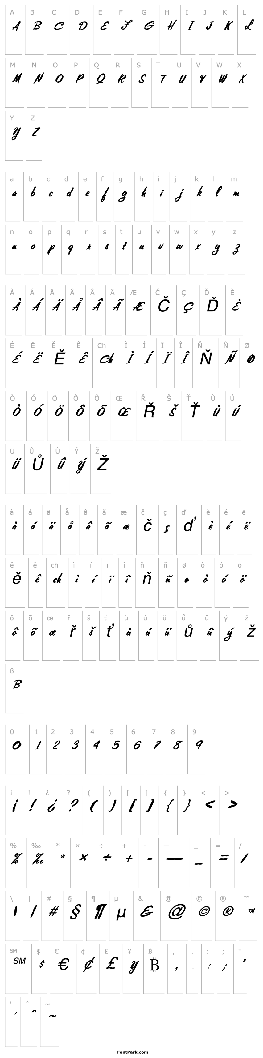 Overview FZ HAND 10 MANGLED ITALIC