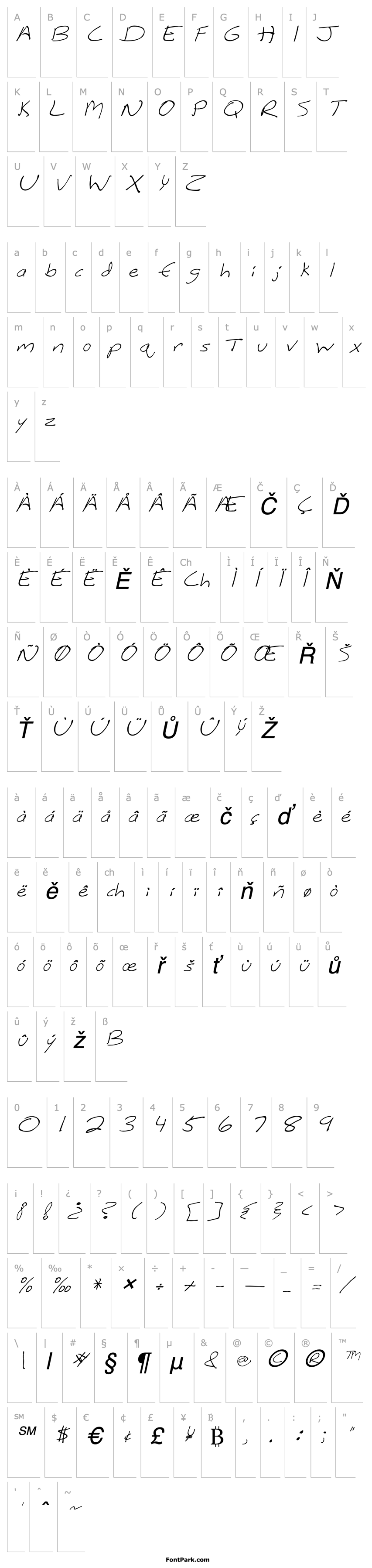 Overview FZ HAND 12 ITALIC