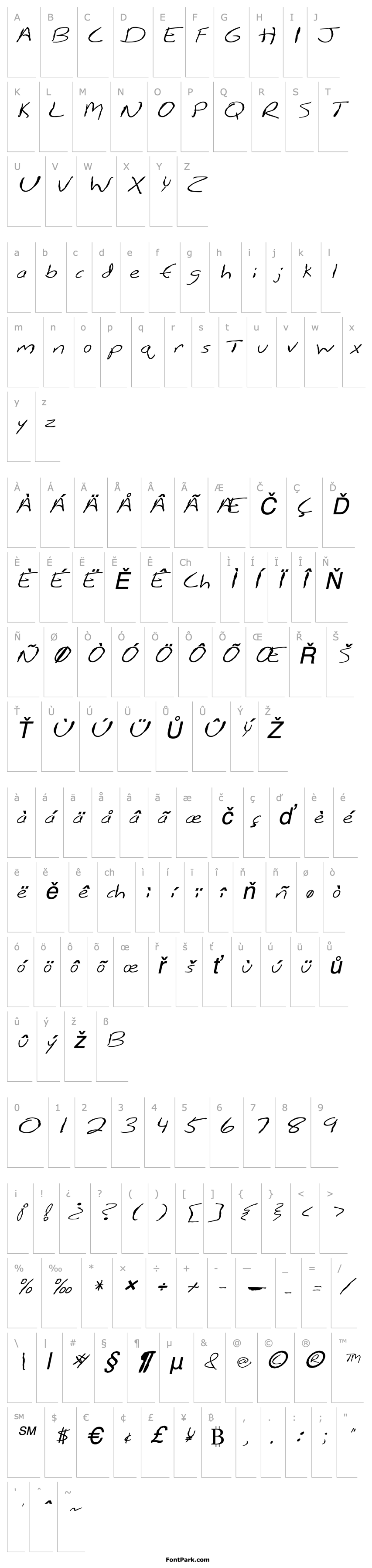 Overview FZ HAND 12 MANGLED ITALIC