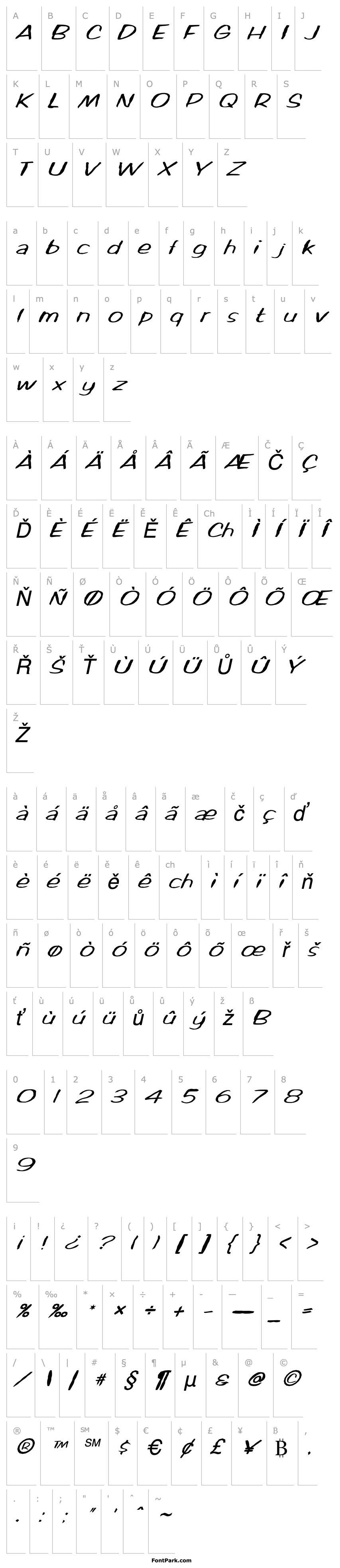 Overview FZ HAND 2 MANGLED ITALIC