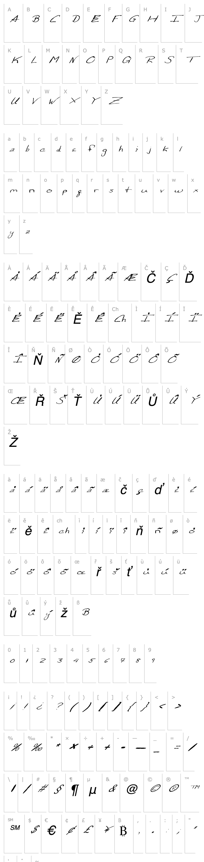 Overview FZ HAND 24 MANGLED ITALIC