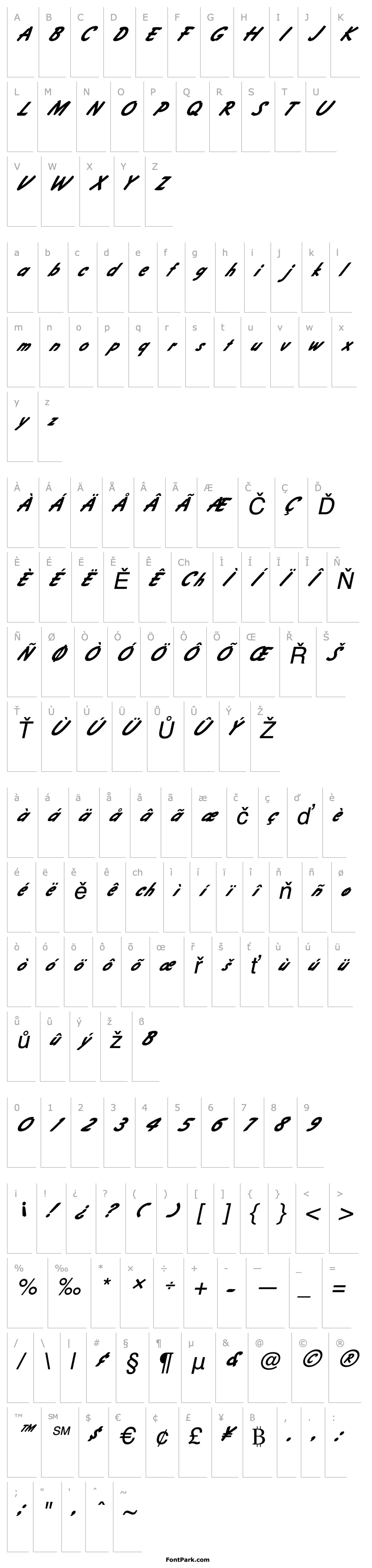 Overview FZ HAND 4 ITALIC