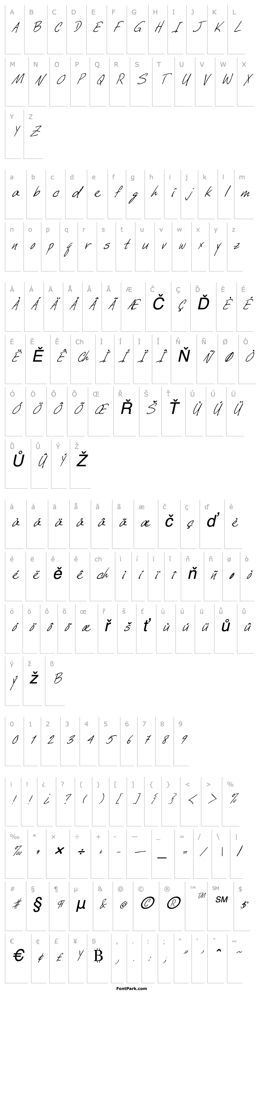 Overview FZ HAND 6 ITALIC