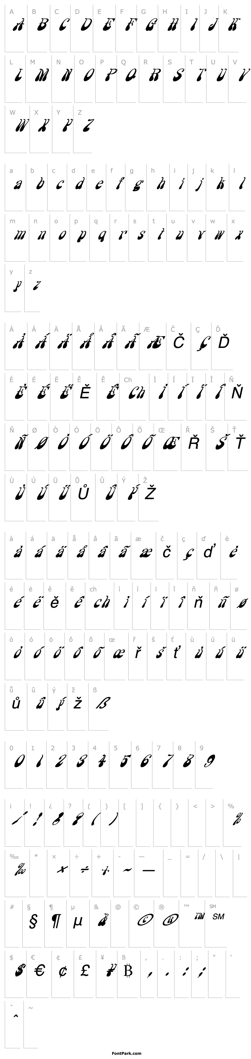 Overview FZ JAZZY 17 ITALIC