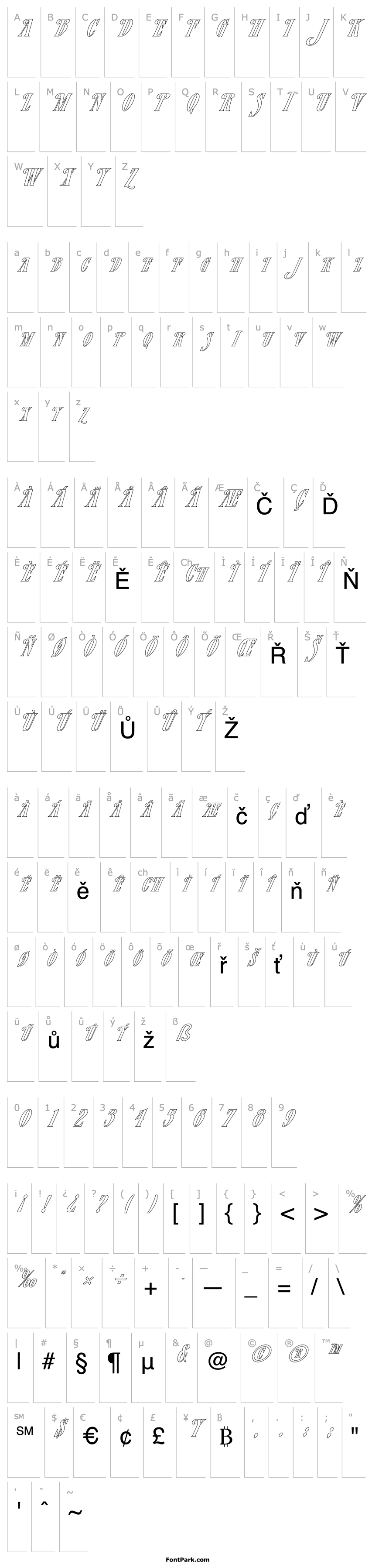 Overview FZ JAZZY 23 HOLLOW ITALIC