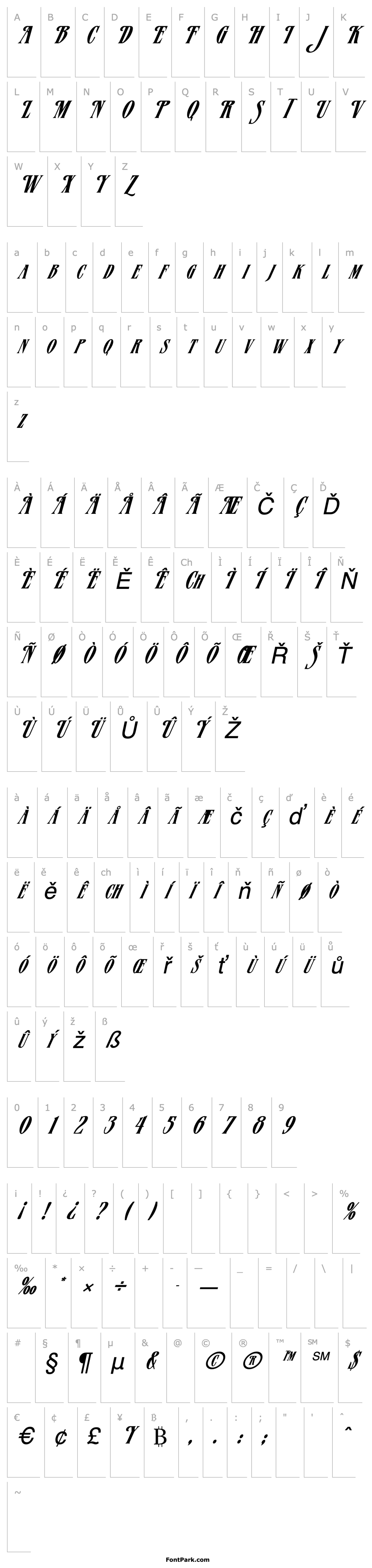 Přehled FZ JAZZY 23 ITALIC