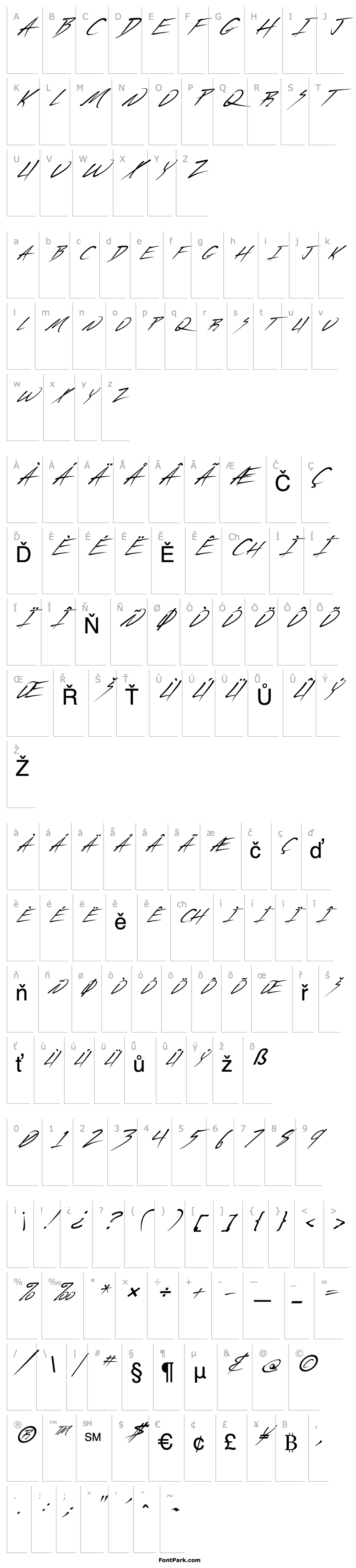 Overview FZ JAZZY 44 ITALIC