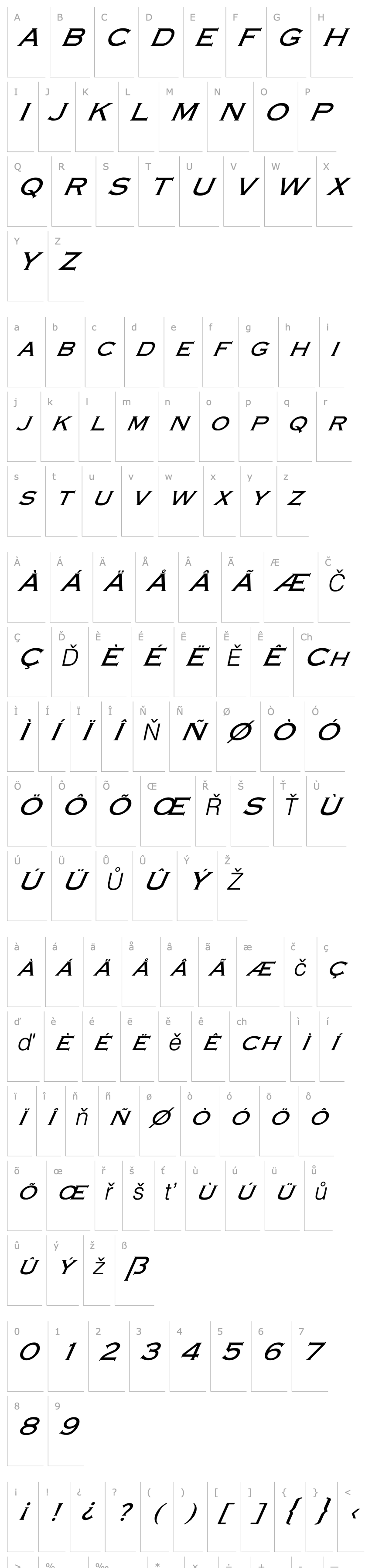 Overview FZ ROMAN 13 ITALIC