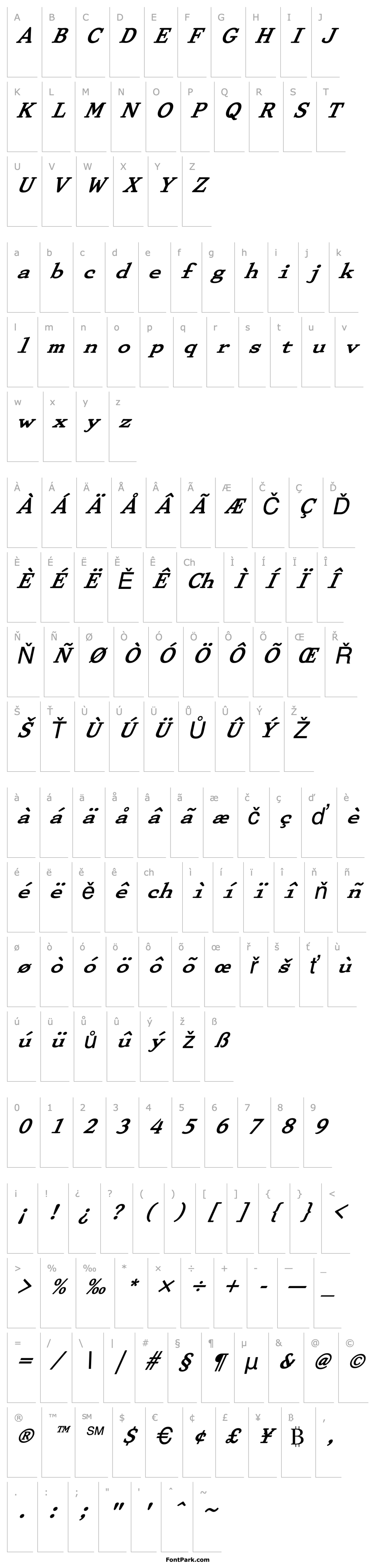 Overview FZ ROMAN 29 ITALIC