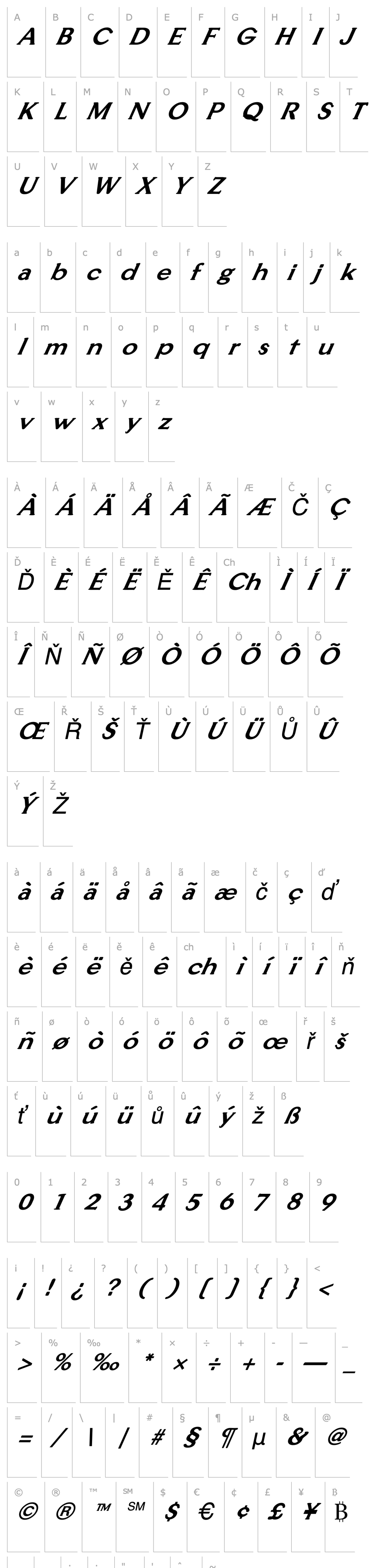 Overview FZ ROMAN 33 ITALIC