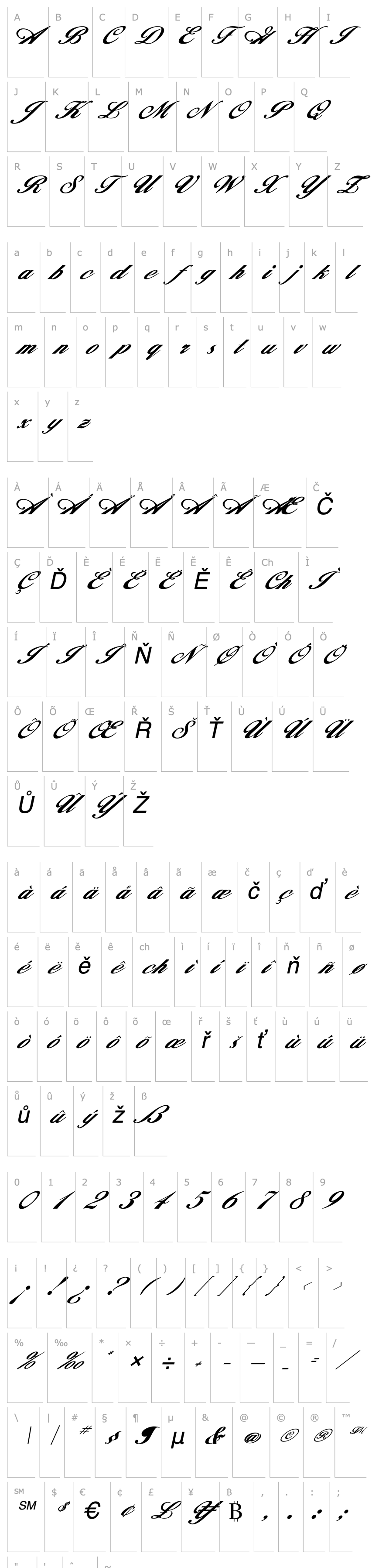 Overview FZ SCRIPT 12 ITALIC