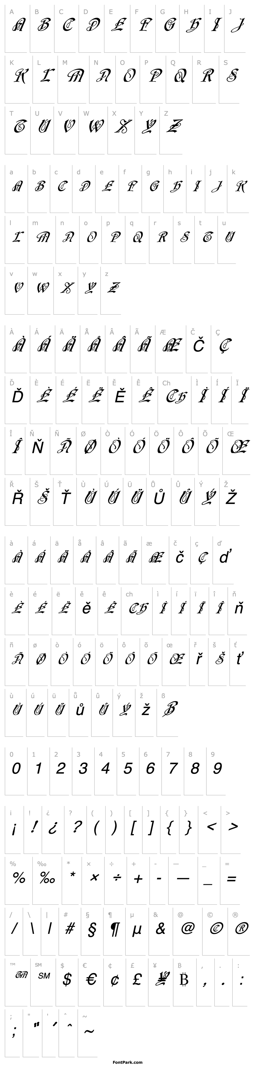 Overview FZ SCRIPT 14 ITALIC