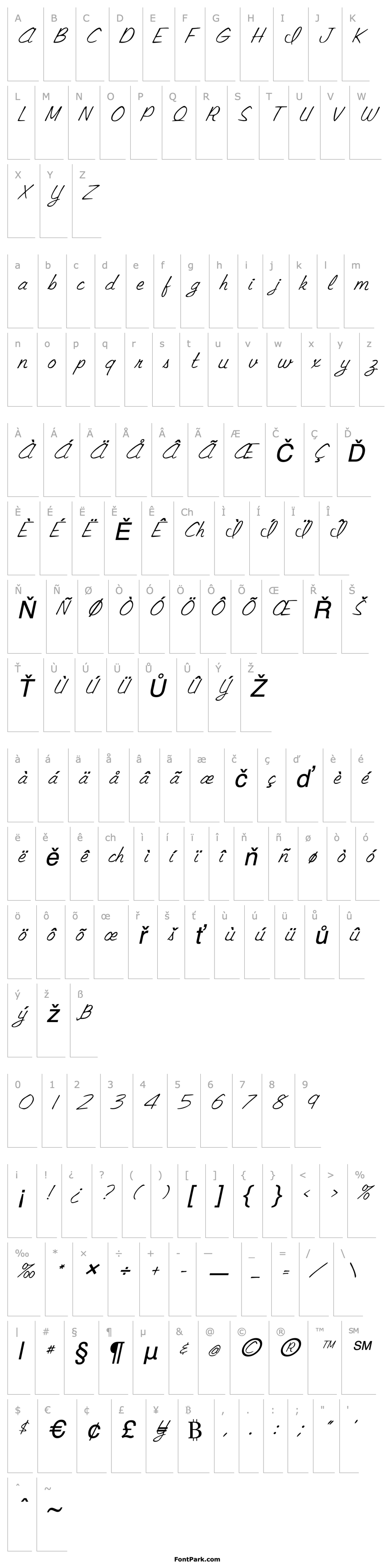 Overview FZ SCRIPT 15 ITALIC