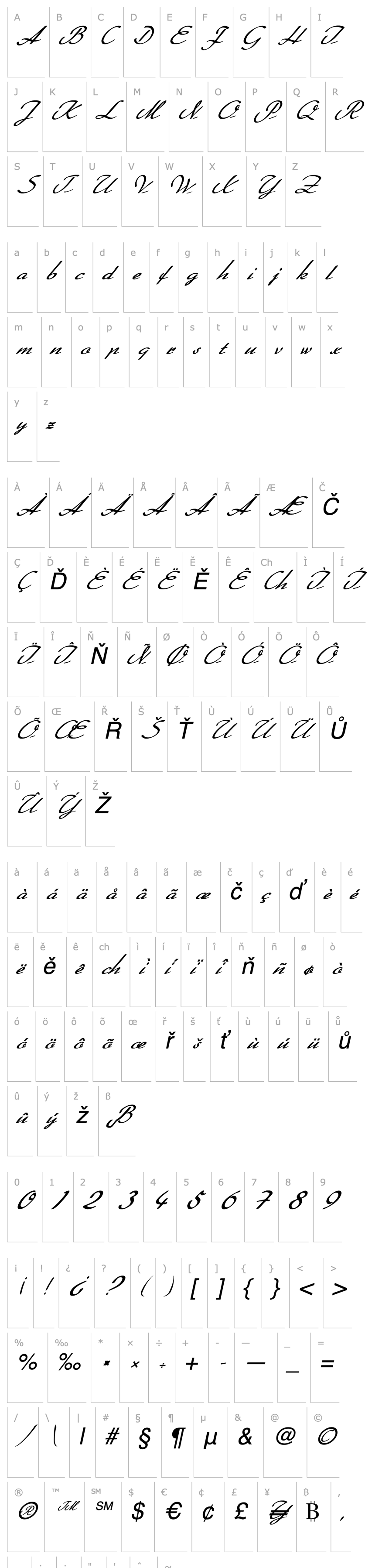 Overview FZ SCRIPT 20 ITALIC