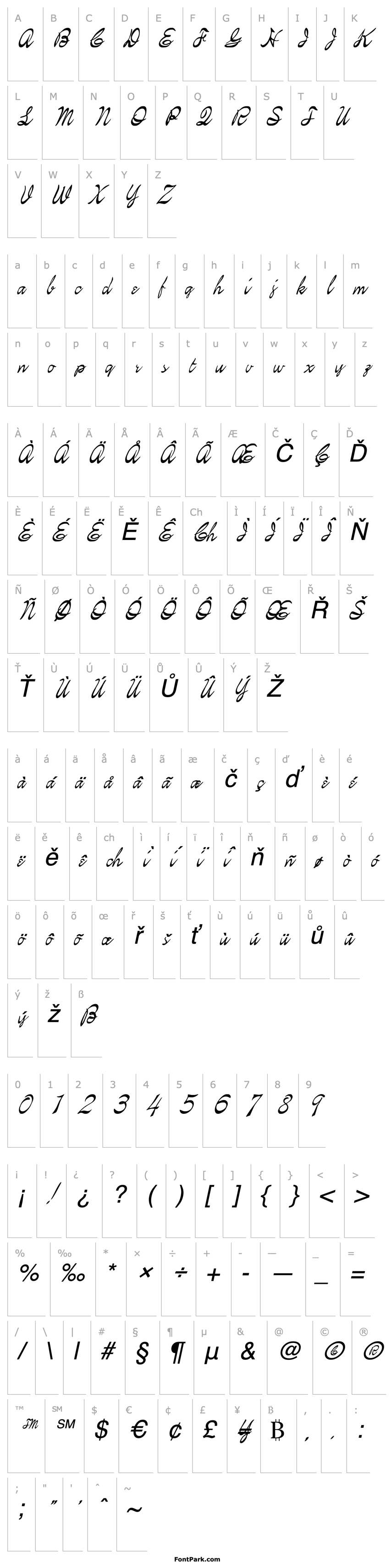 Overview FZ SCRIPT 21 ITALIC