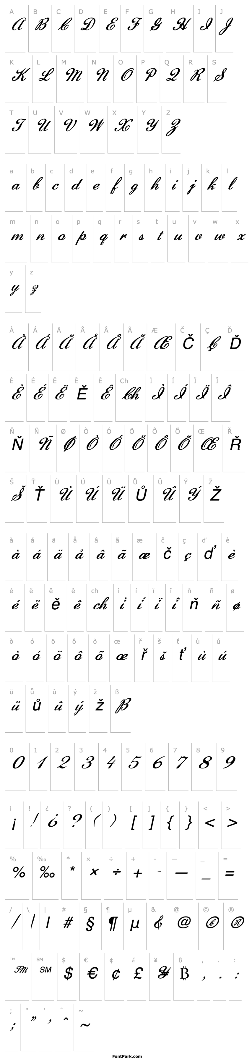 Overview FZ SCRIPT 22 ITALIC