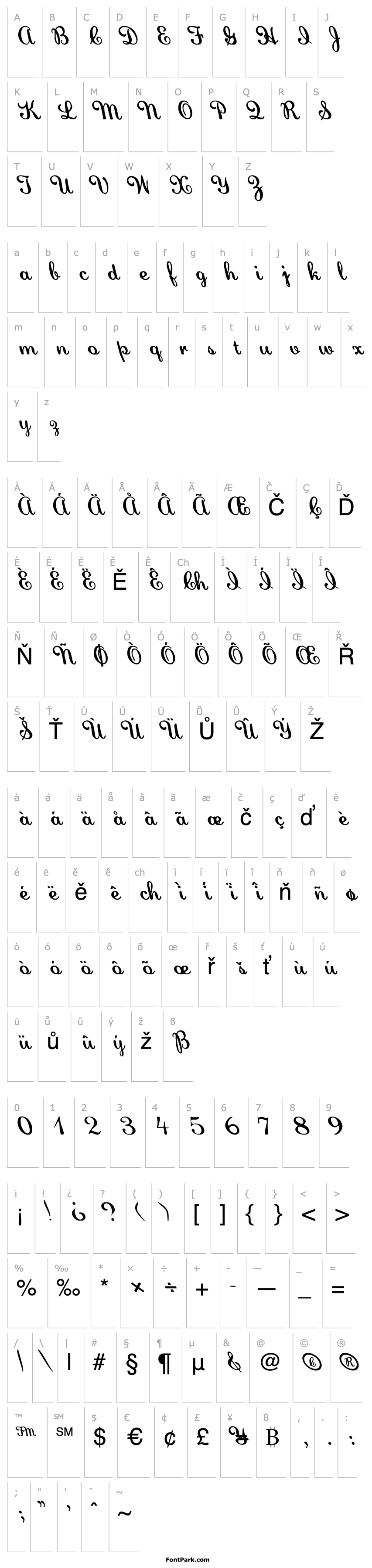 Overview FZ SCRIPT 22 LEFTY