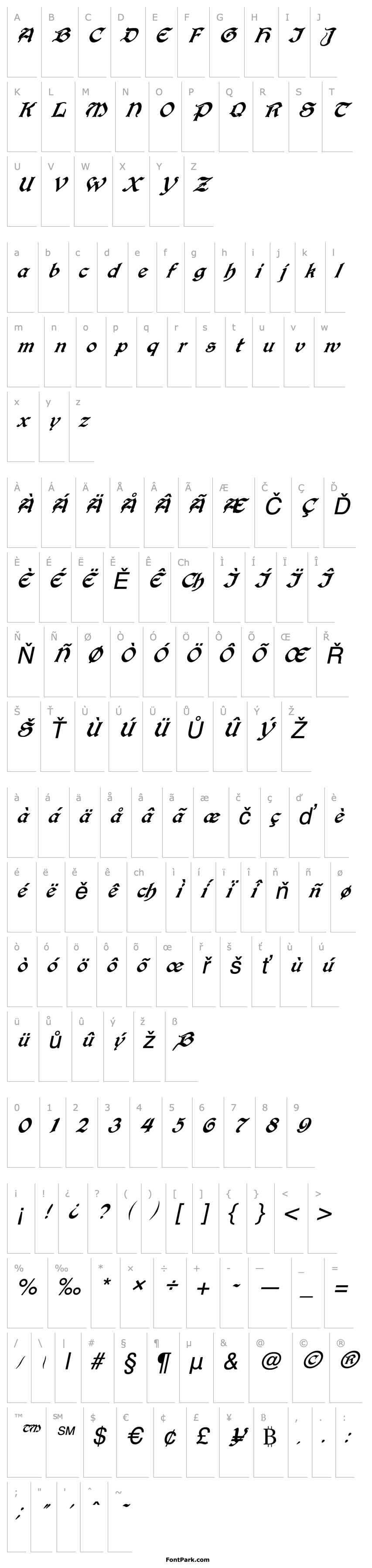 Overview FZ SCRIPT 25 ITALIC