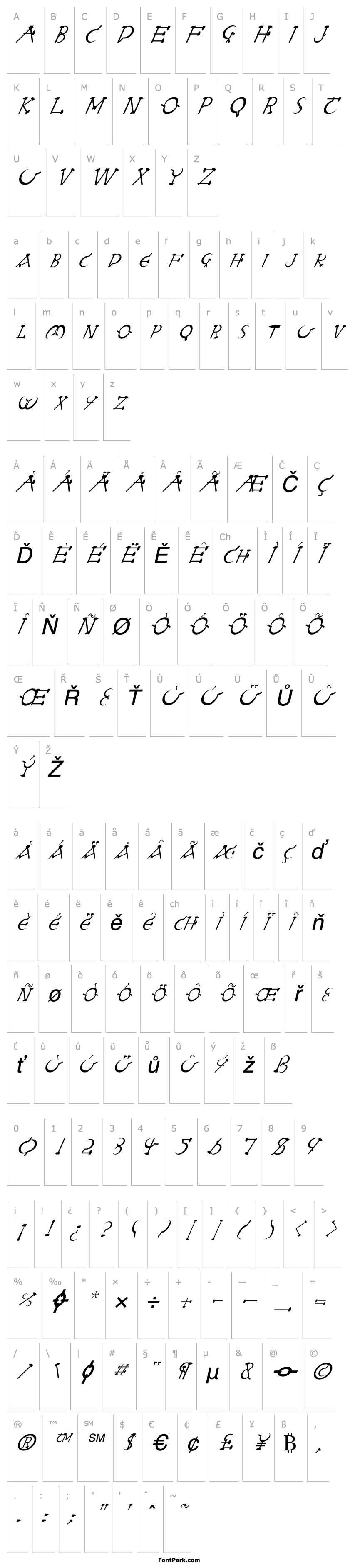 Overview FZ UNIQUE 28 ITALIC