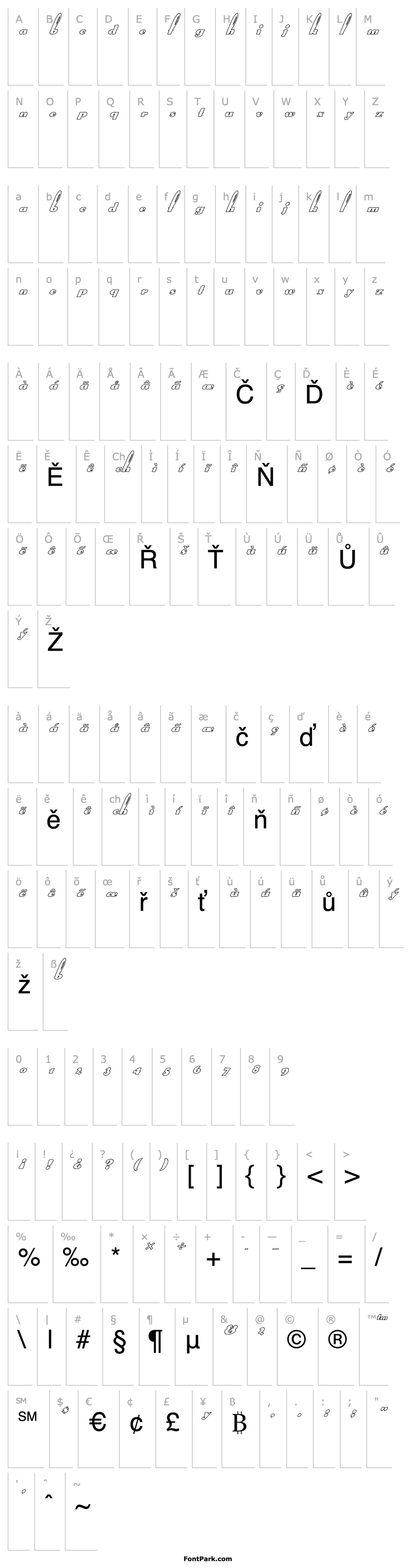 Overview FZ UNIQUE 41 HOLLOW ITALIC