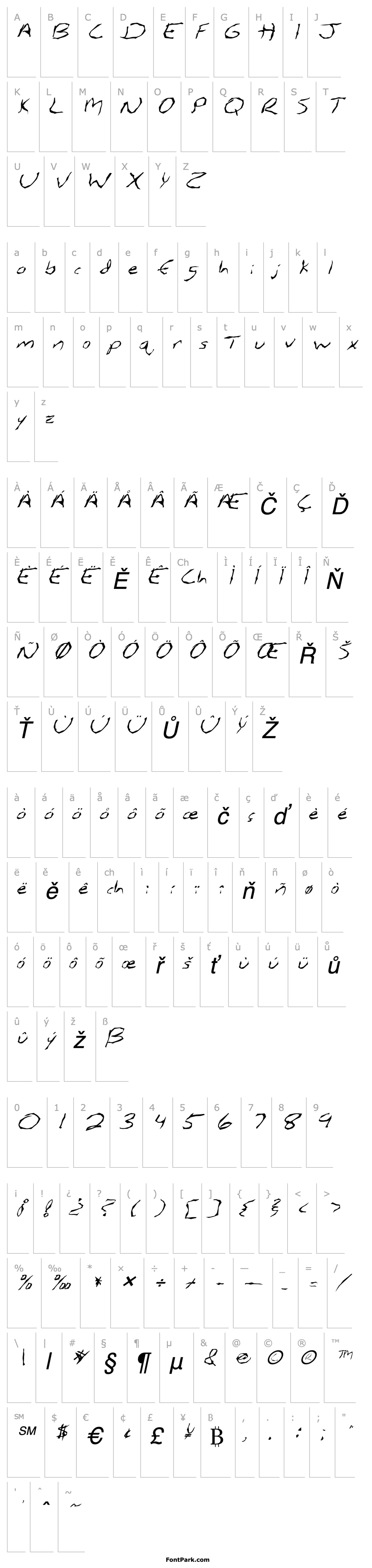 Overview FZ WACKY 5 ITALIC