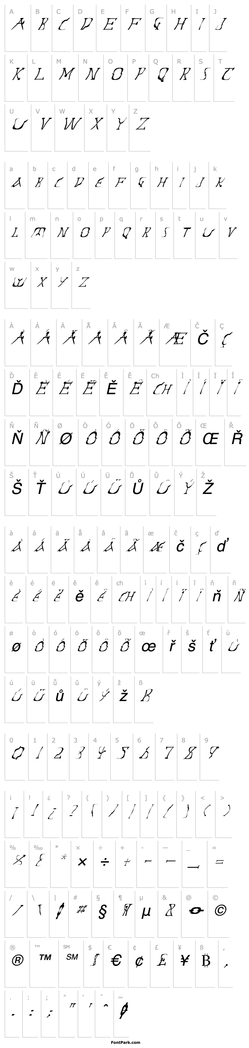 Overview FZ WARPED 14 ITALIC