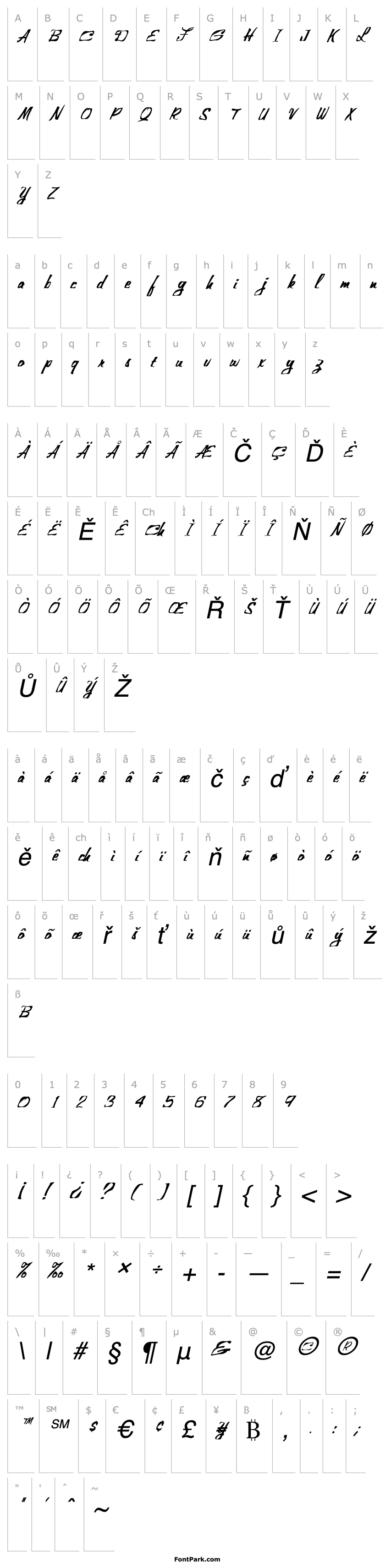 Overview FZ WARPED 25 ITALIC