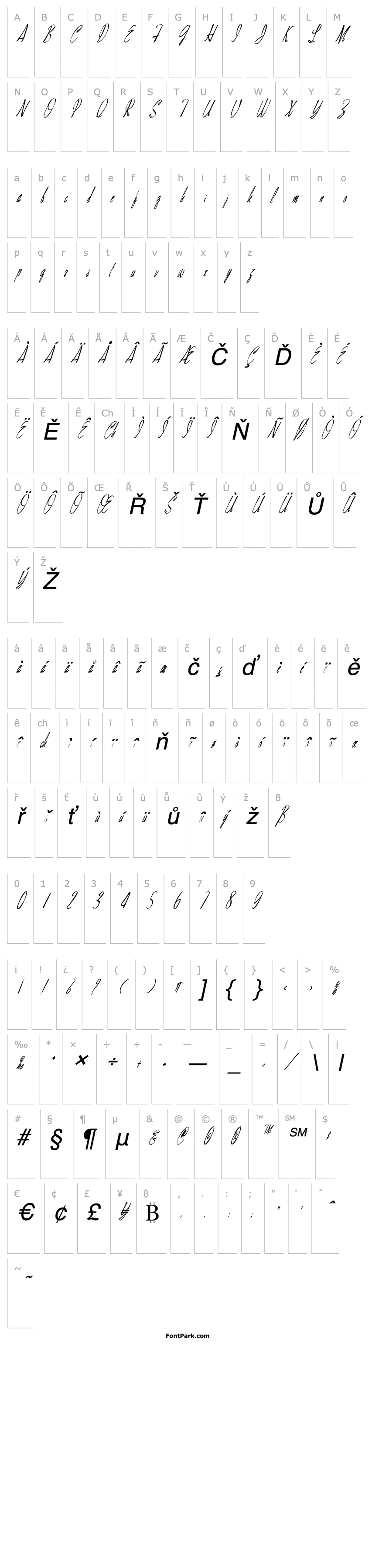 Overview FZ WARPED 28 ITALIC