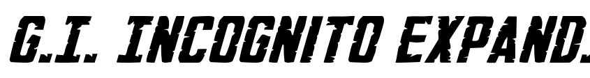 Preview G.I. Incognito Expanded Italic