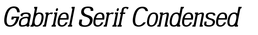 Preview Gabriel Serif Condensed Italic