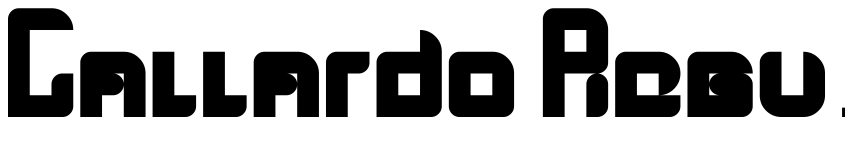 Preview Gallardo Regular