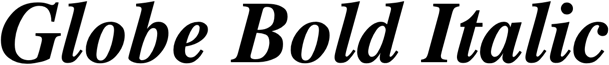 Preview Globe Bold Italic