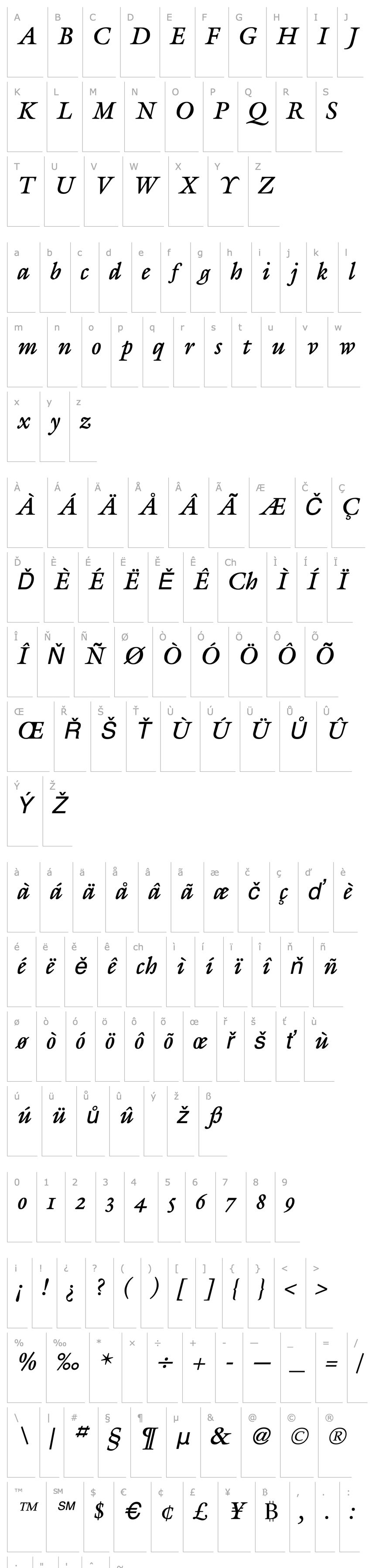 Přehled Galliard Italic