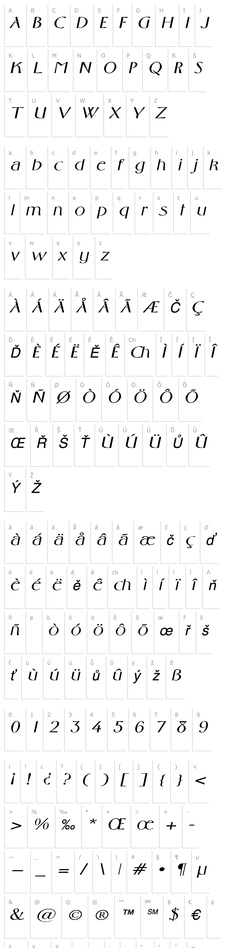 Overview GabrielExtended Italic