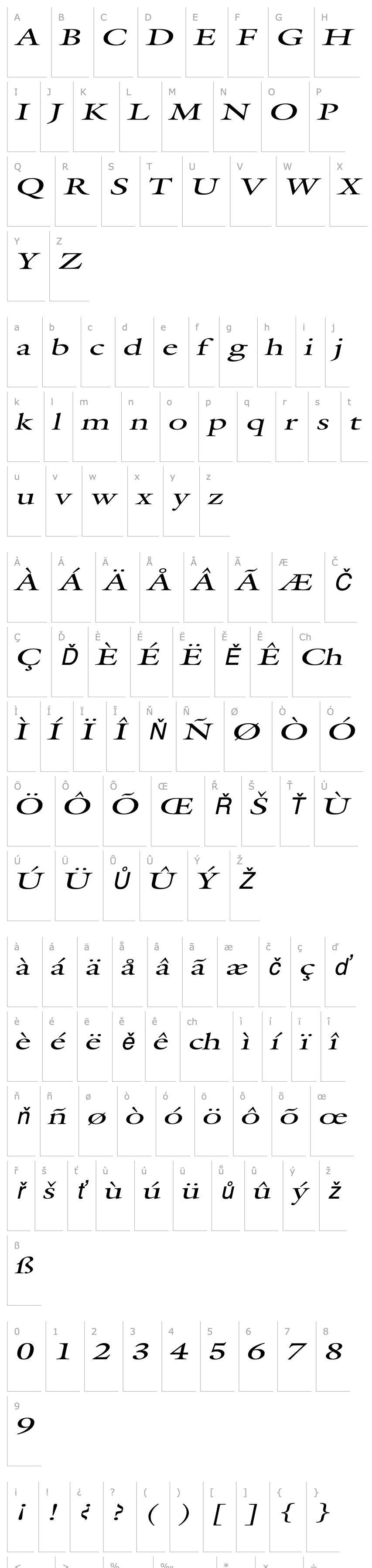 Přehled Galant Extended Italic